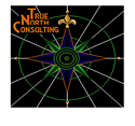 True North Consulting logo