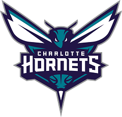 Hornets Basketball Brand logo